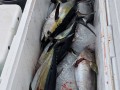 The Legend Fishing Adventures  128 