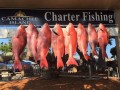 The Legend Fishing Adventures  223 