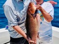 The Legend Fishing Adventures  229 